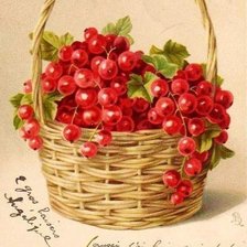 Корзина смородины