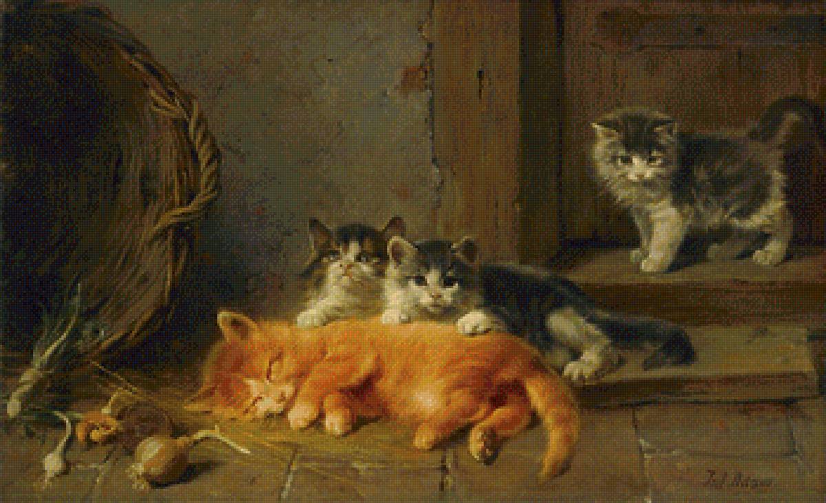 Молодняк - корзина, котята, сон - предпросмотр