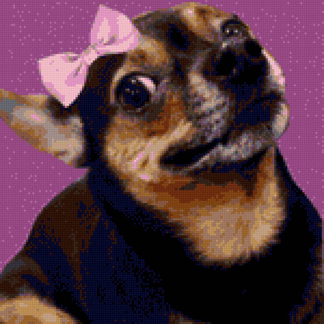 Бантик и Боня - предпросмотр