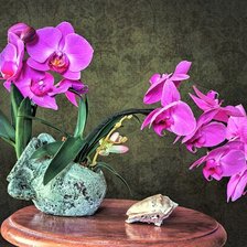 Схема вышивки «№2180197»