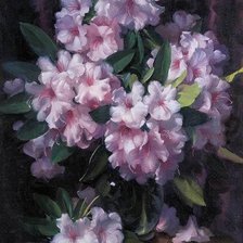 Схема вышивки «Boque de azaleia,»