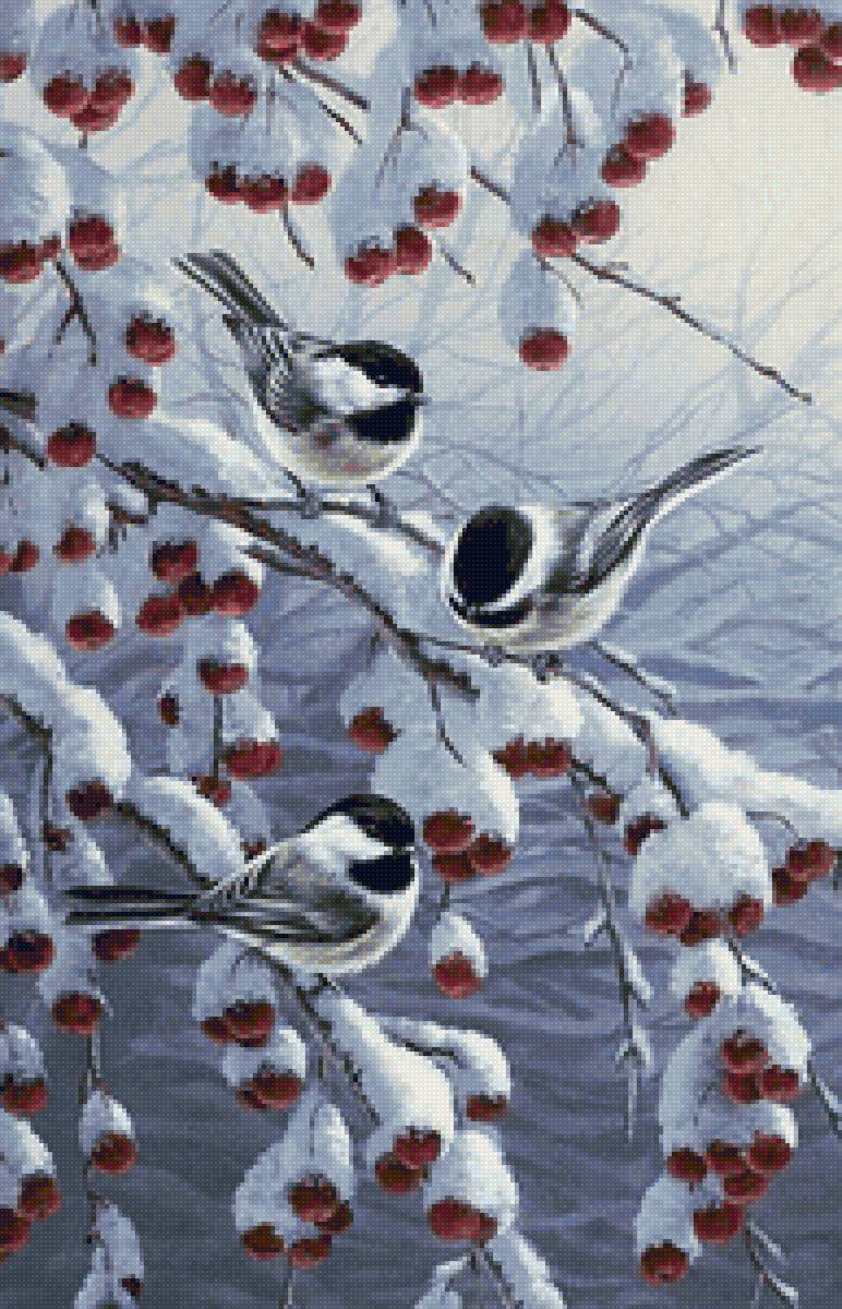 птицы - предпросмотр