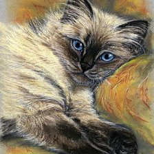 Схема вышивки «Gato.»