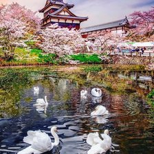 Схема вышивки «№2181100»