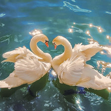 Схема вышивки «White Swans.»