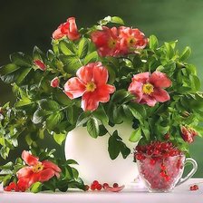 Схема вышивки «НАТЮРМОРТ»