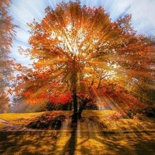 Схема вышивки «Осень»