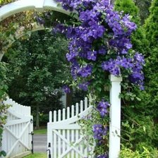 garden arch 3