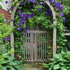 Схема вышивки «garden arch 4»