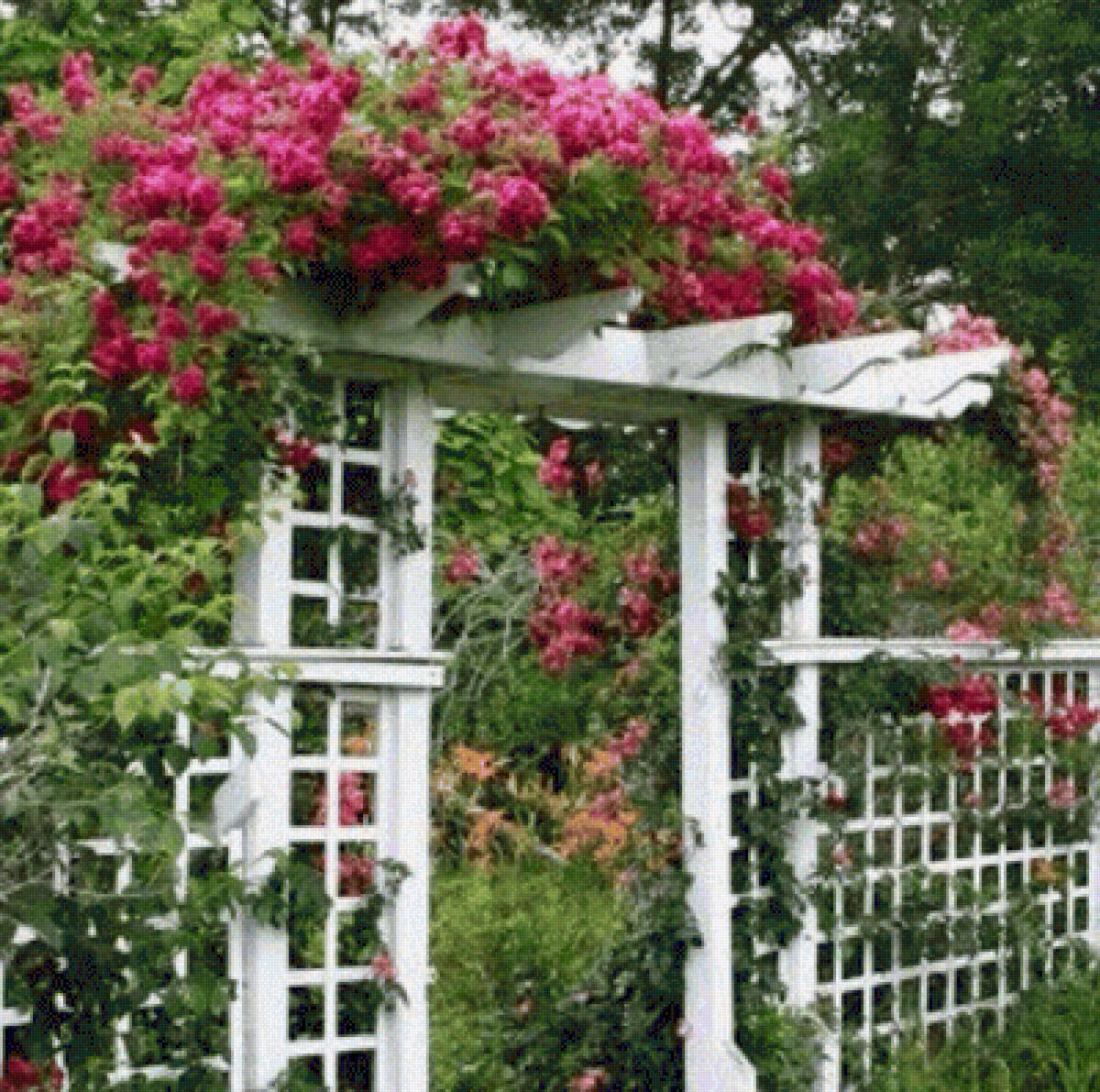 garden arch 5 - пейзажи - предпросмотр