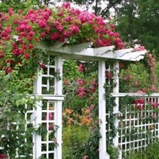 Схема вышивки «garden arch 5»