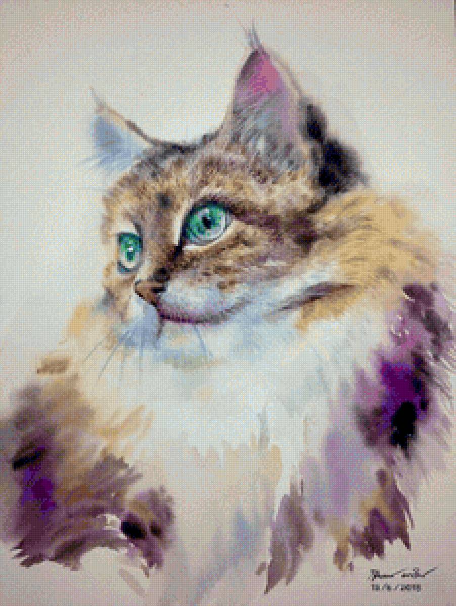 Cat - предпросмотр