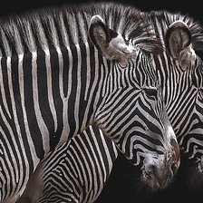 Схема вышивки «№2181563»