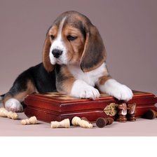 Схема вышивки «"Шахматист"»