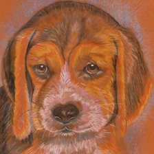 Схема вышивки «№2181931»