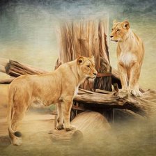 Схема вышивки «№2182335»