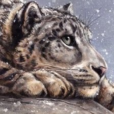 Схема вышивки «Снежный барс»