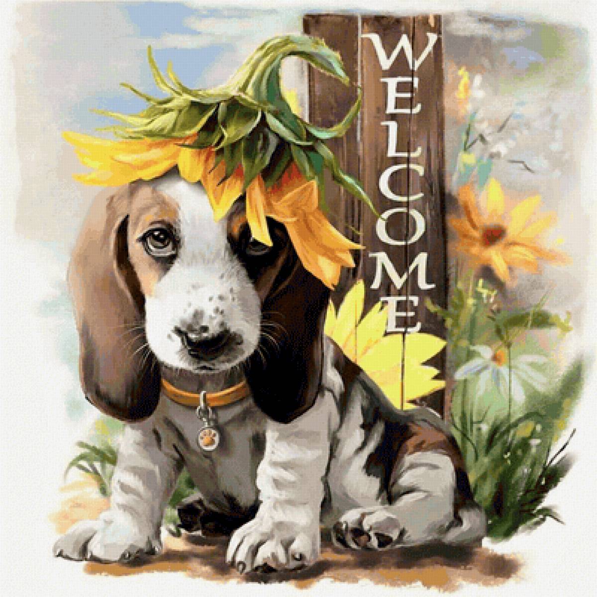 №2182888 - предпросмотр