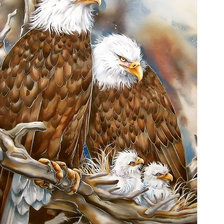 Схема вышивки «Серия "Птицы"»