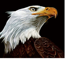 Схема вышивки «Серия "Птицы"»