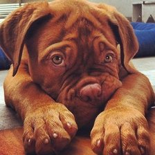 Схема вышивки «жду»