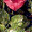 Предпросмотр схемы вышивки «vintazh red rose» (№2183296)