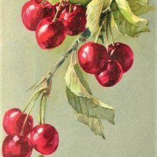 Схема вышивки «Sherry»