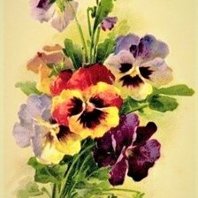 Схема вышивки «Viola»