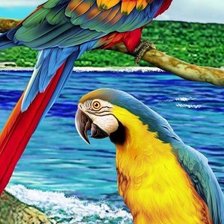 Схема вышивки «птицы»