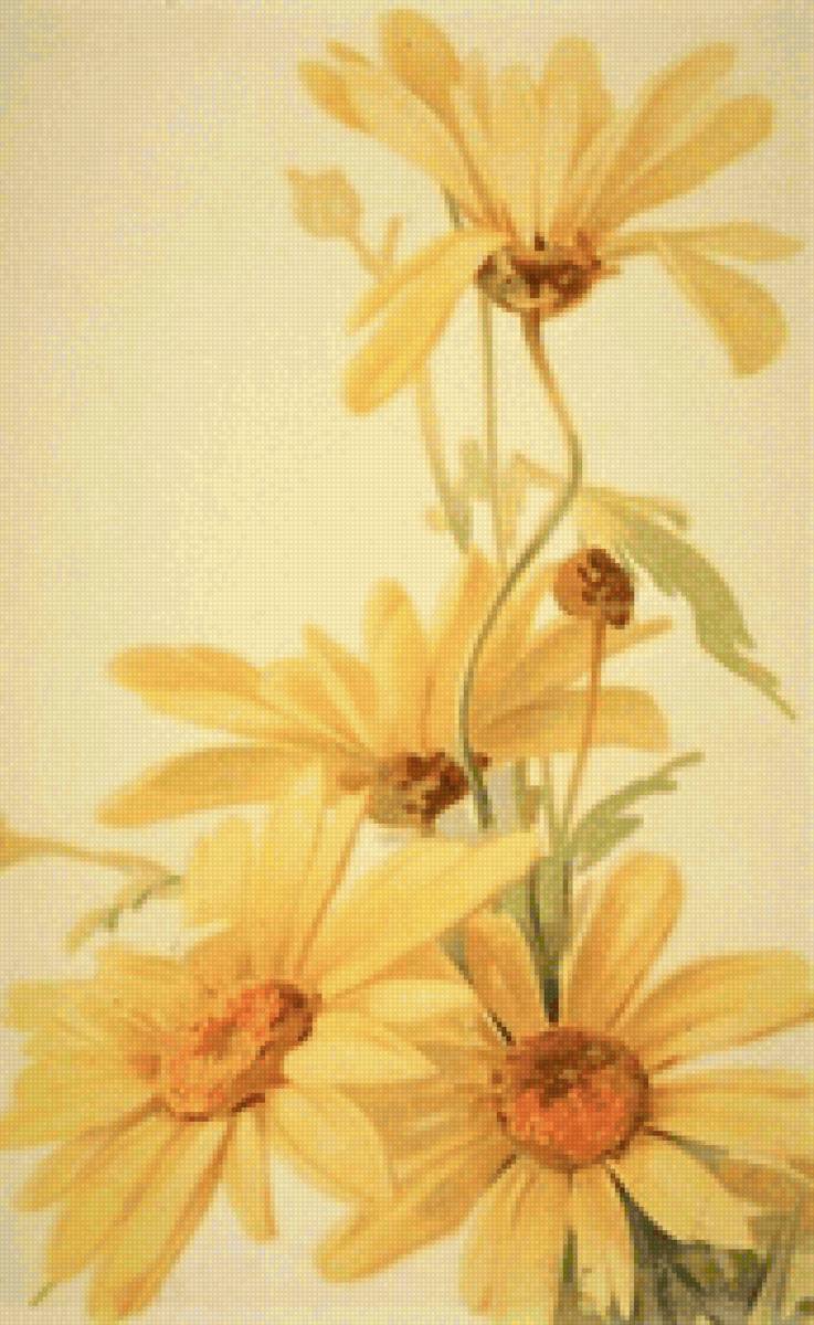 romashki - птицы, цветы - предпросмотр