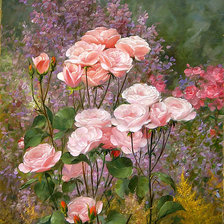 Схема вышивки «Розовые маки»