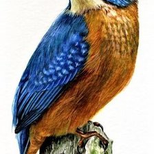 Схема вышивки «Birds 2»