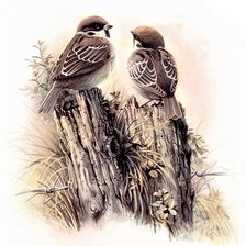 Схема вышивки «Birds 5»