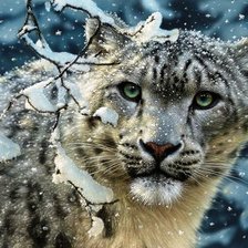 Схема вышивки «снежный барс»