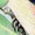 Предпросмотр схемы вышивки «Birds 11» (№2184040)