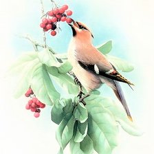 Схема вышивки «Birds 11»