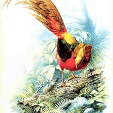 Схема вышивки «Birds 25»