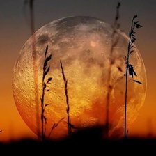 Схема вышивки «Полнолуние»