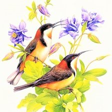 Схема вышивки «Couple birds»