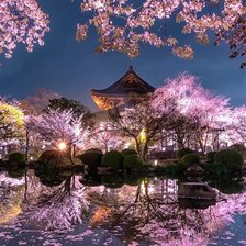 Схема вышивки «Ночь и сакура»