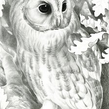 Схема вышивки «сова»