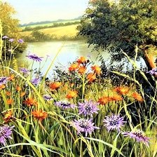 Схема вышивки «Filds flowers»