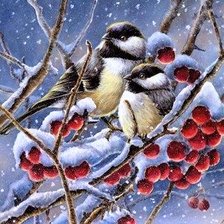 Схема вышивки «синички на рябине»