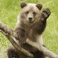 Схема вышивки «Медвежонок»