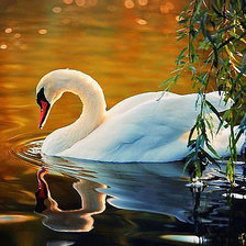 Схема вышивки «Лебедь»