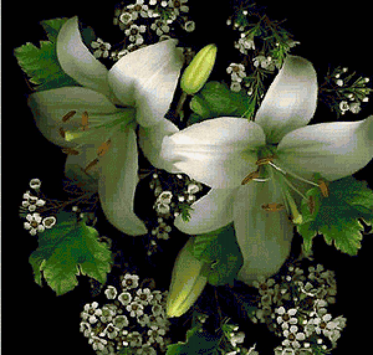 лилии - цветы, красота, лилии - предпросмотр