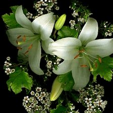 Схема вышивки «лилии»