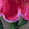 Предпросмотр схемы вышивки «пионы» (№2185815)