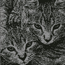 Схема вышивки «киски»