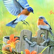 Схема вышивки «Couple birds and lillyes»